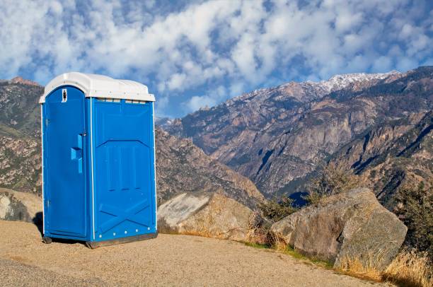 Best Sanitation services for porta potties  in Brownsville, PA